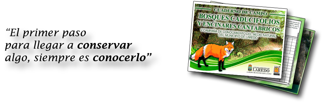 Laredo fino3 fullwitch